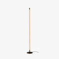 Ray Simple Linéaire LED Lampadaire Or Noir Métal Gel de Silice Salon Chambre - Neutralighting