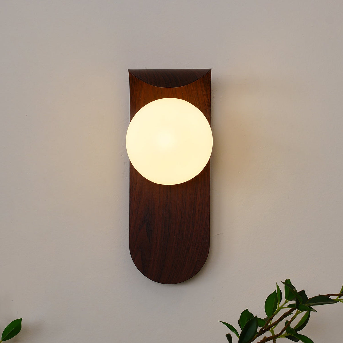 Exuro Applique Murale Intérieure en Bois / Noyer - Neutralighting
