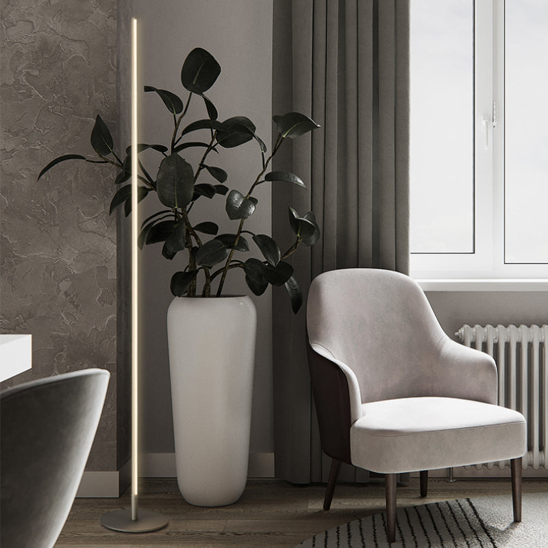 Ray Simple Linéaire LED Lampadaire Or Noir Métal Gel de Silice Salon Chambre - Neutralighting