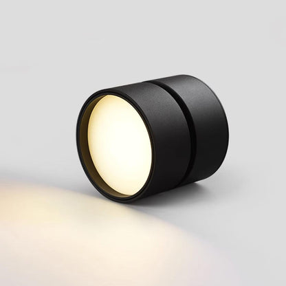 Plafonnier de Surface Spot - Maison Lumina