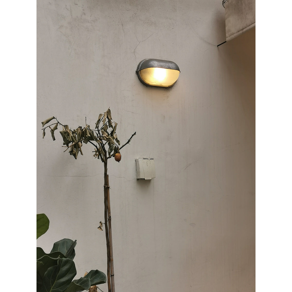 Ulvelos Lampe Murale Vintage Industrielle en Métal pour l'Extérieur - Neutralighting